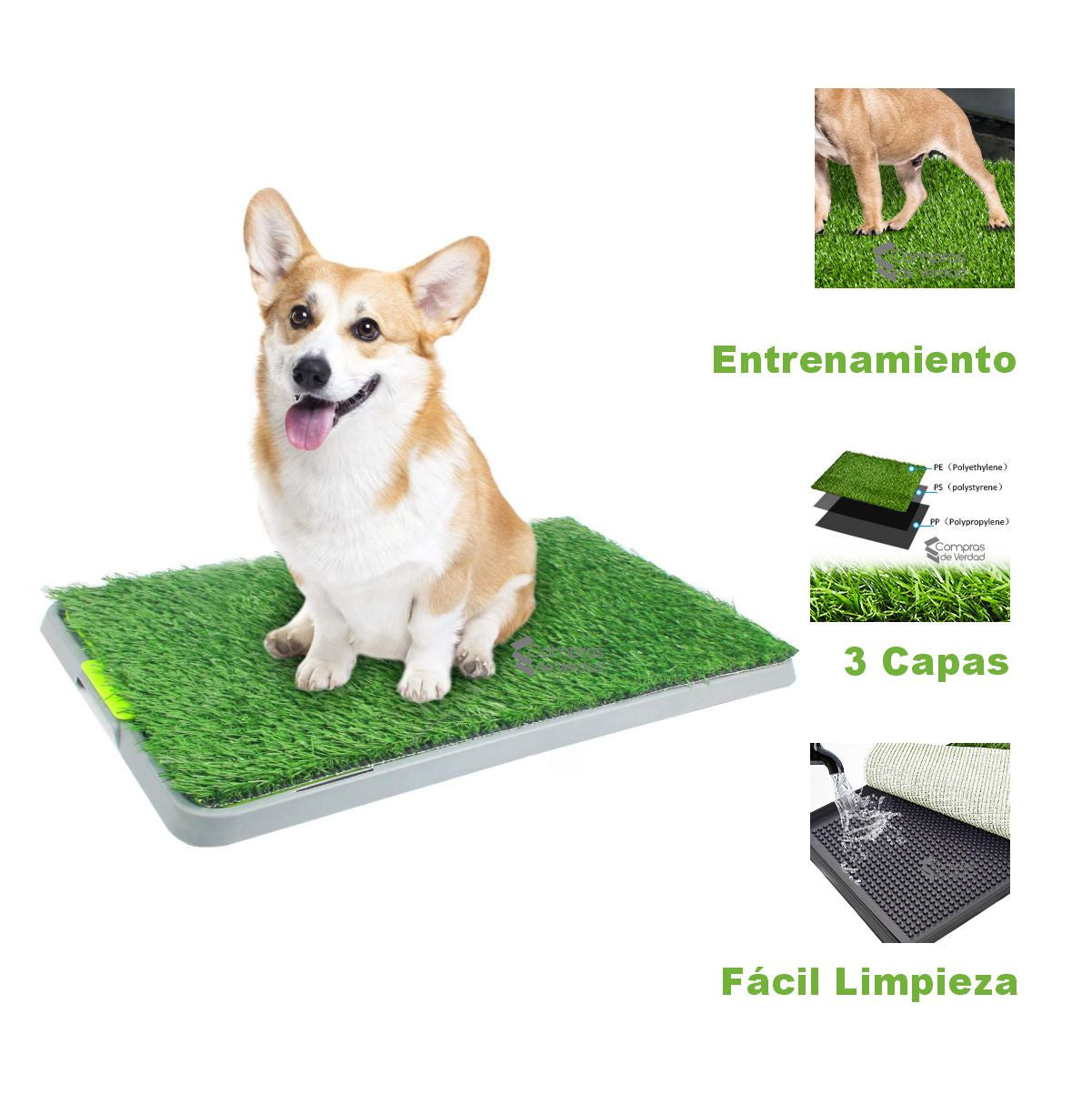 Tapete De Mascota Grande