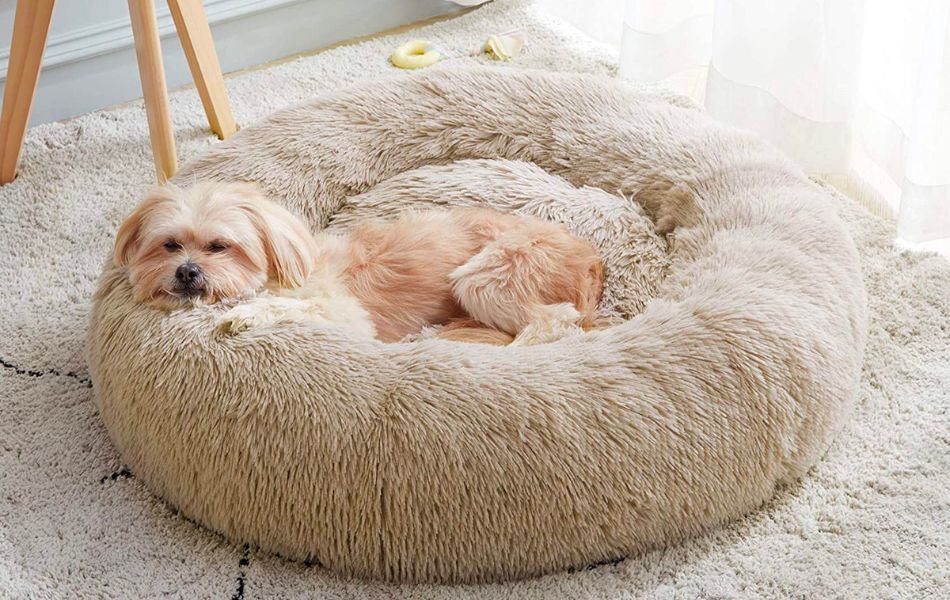 Cama Anti Ansiedad Para Mascotas Talla S